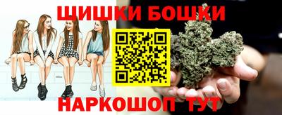 стаф Кулебаки